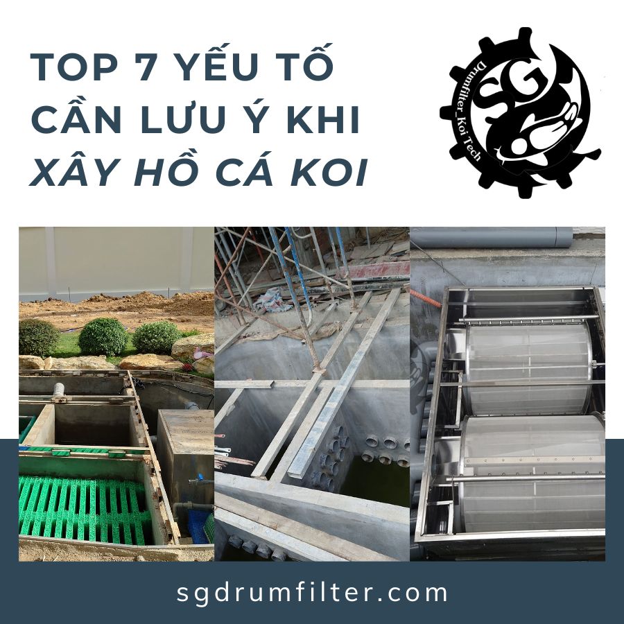 Top 7 yếu tố quan trọng cần lưu ý khi xây hồ cá Koi