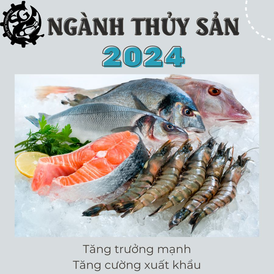 Ngành thủy sản 2024: Hứa hẹn hồi phục và tăng trưởng mạnh 