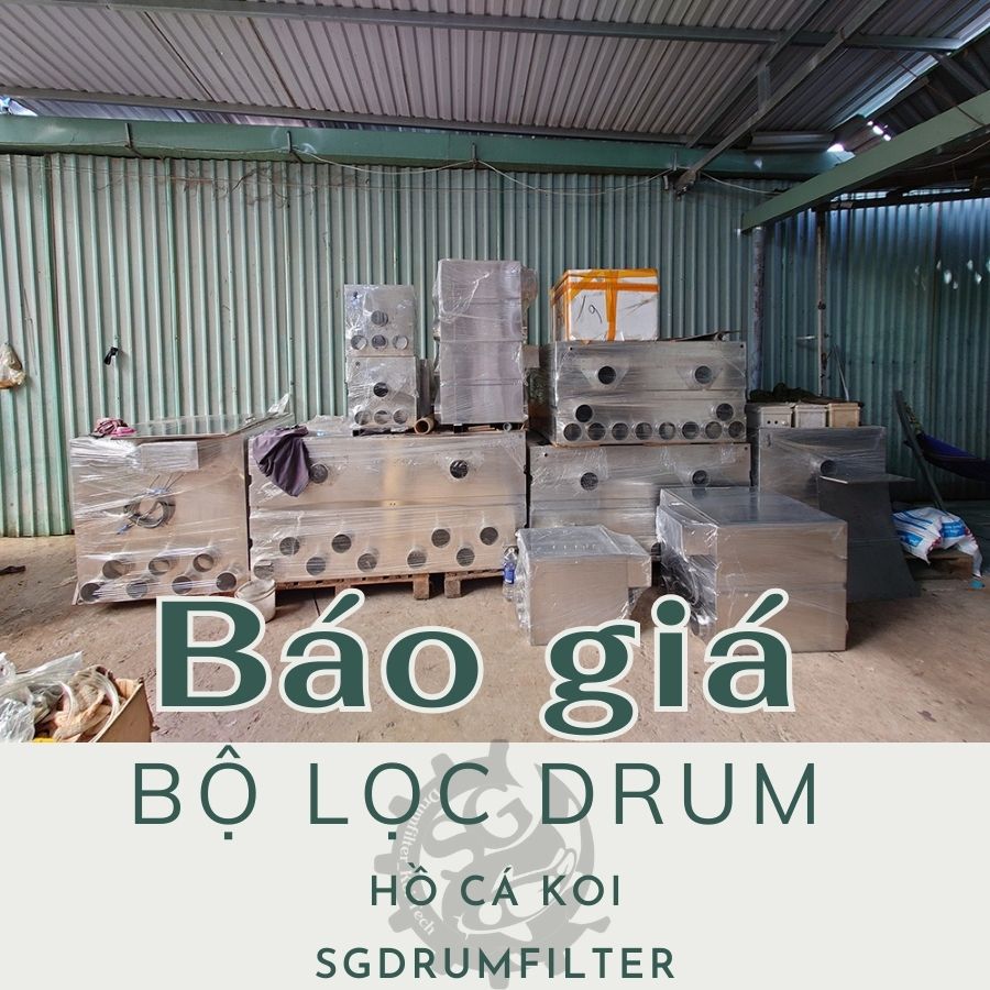 Báo giá bộ lọc Drum hồ cá Koi - Drum Filter lọc nước tự động