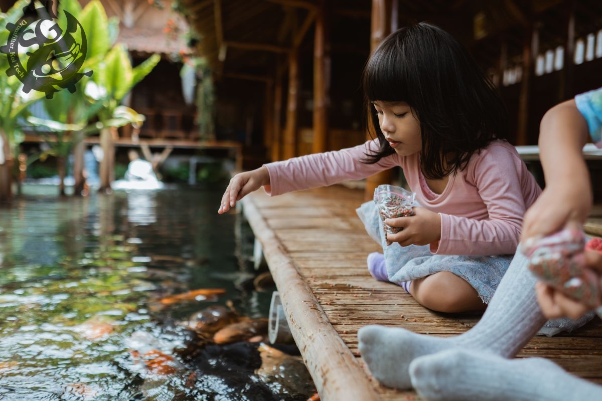 Cá Koi ăn được những gì