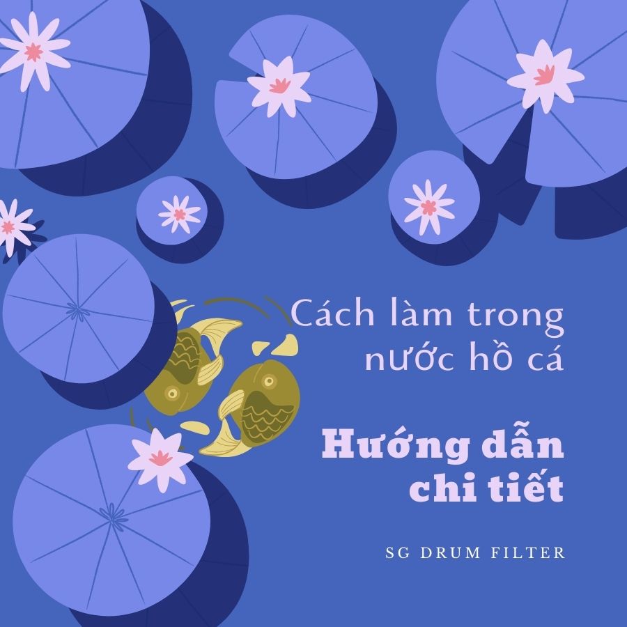 Cách làm trong nước hồ cá: Hướng dẫn chi tiết