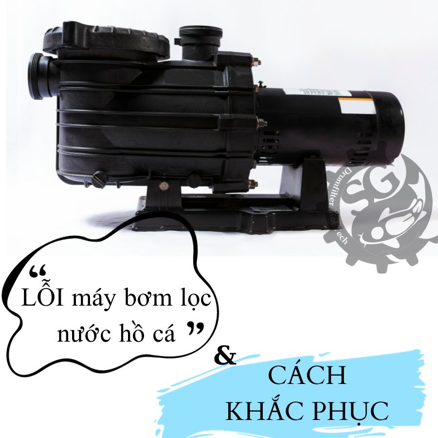 4 lỗi máy bơm lọc nước hồ cá phổ biến & cách khắc phục