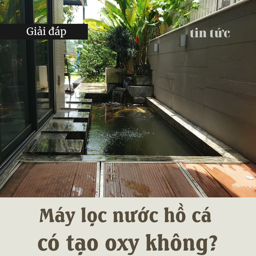 [Giải đáp] Máy lọc nước hồ cá có tạo oxy không