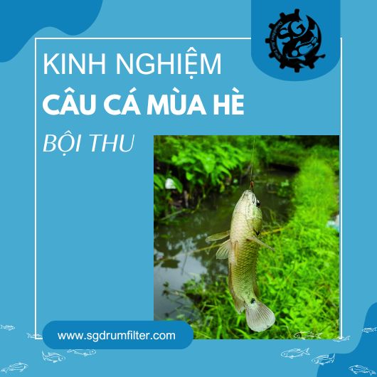 Bí quyết để có một buổi câu cá mùa hè thành công ở đây