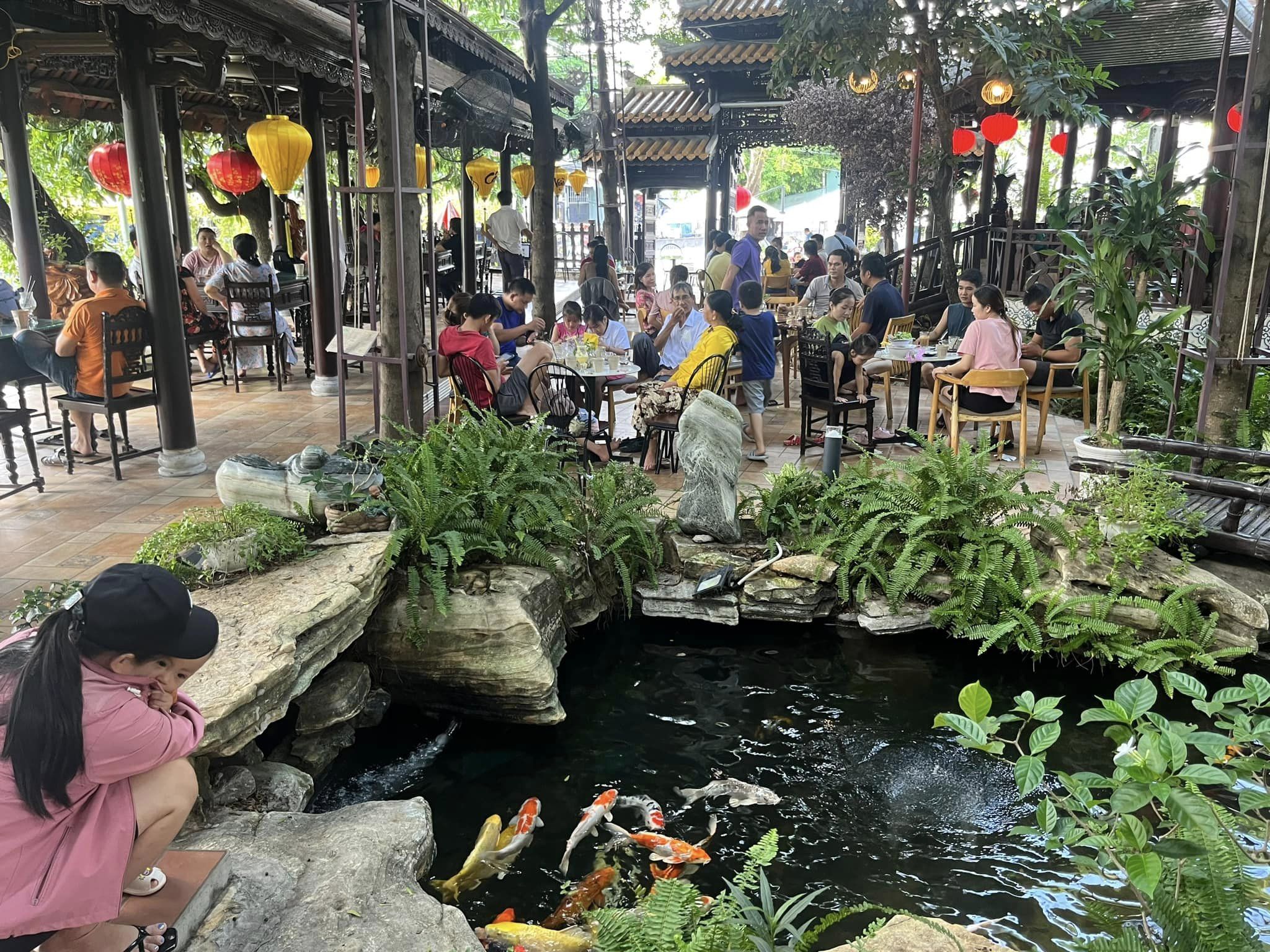 Quán cafe cá Koi Cây Lộc Vừng